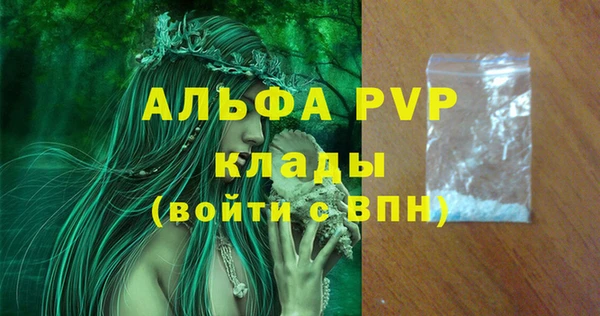 крисы Алзамай