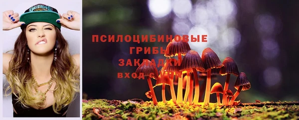 спиды Алексеевка