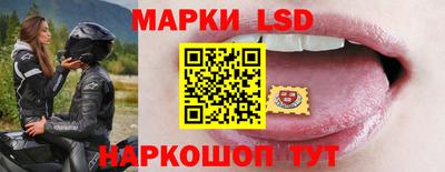 ECSTASY Кингисепп