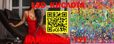 ECSTASY Кингисепп