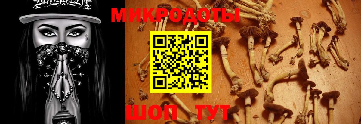 Красноармейск  Псилоцибиновые грибы Cubensis  Вход с VPN 