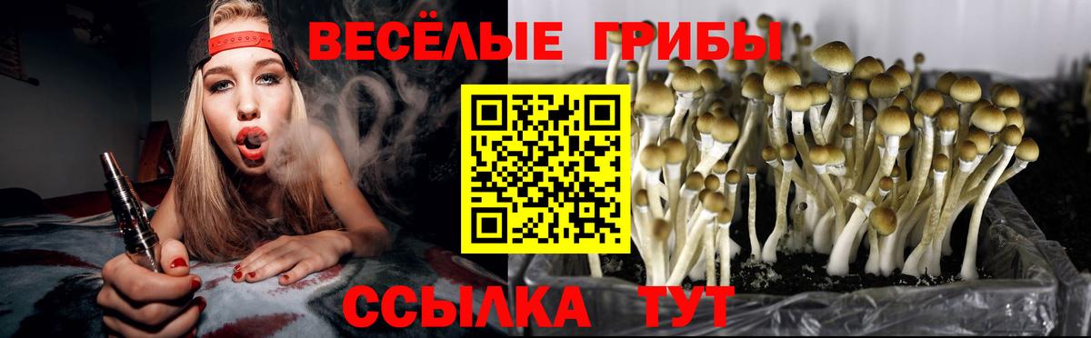 Галлюциногенные грибы Magic Shrooms Красноармейск