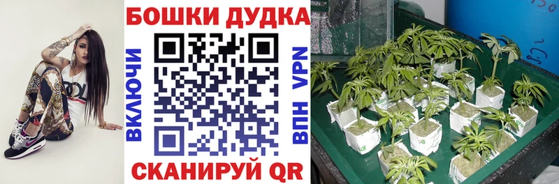 Каннабис индика hydra ССЫЛКА Красноармейск